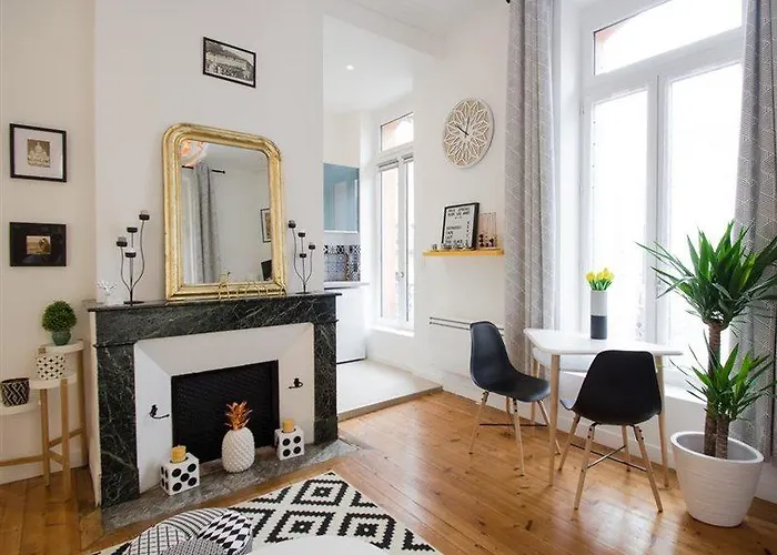 Apartament Le Saint-aubin By Cocoonr Tuluza