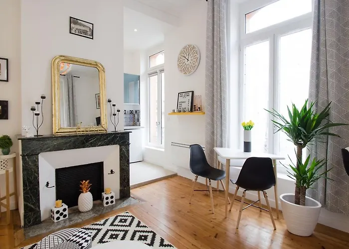 Le Saint-aubin By Cocoonr Toulouse